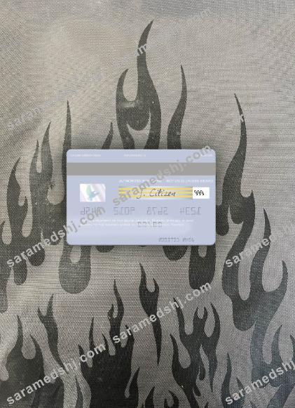 Norway Handelsbanken visa debit card photolook back